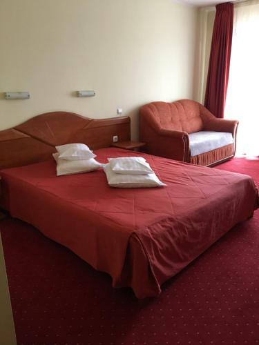 Hostal Pension Vanatorul