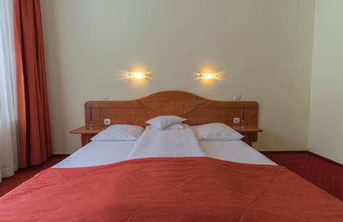 Hostal Pension Vanatorul