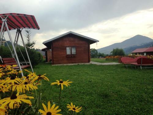 Bed & Breakfast Pensiunea Gentiana