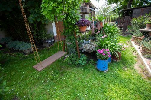 Hostal Szab� Vend�gh�z