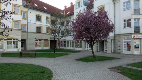 R�k�czi Apartman