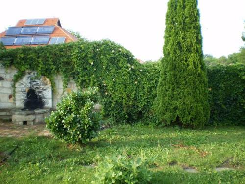 Apartamento D�ri Sz�ll�shely