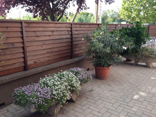 Bed & Breakfast Meg�ll� Panzi�