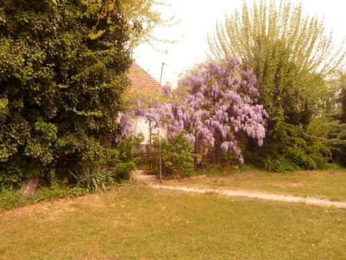 Agroturismo Dob� Tanya