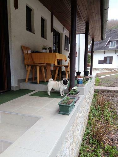 Bed & Breakfast P�nzpataki Vad�szh�z