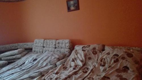 Hostal Tibor Bar�t Vend�gh�z