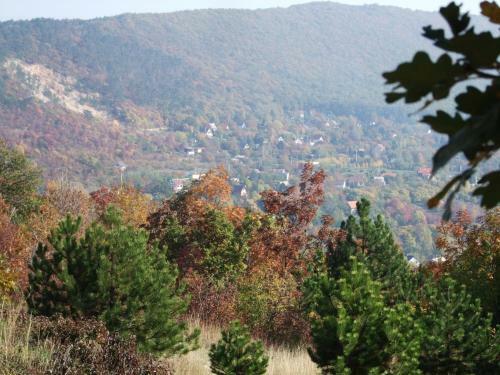 Oak Tree Apartment - T�lgy Lak