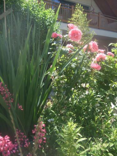 Oak Tree Apartment - T�lgy Lak