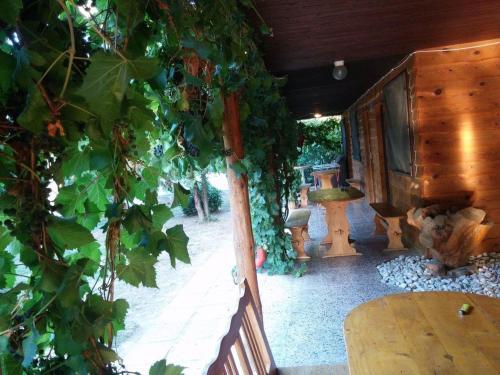 Motel Vak�ci� Ifj�s�gi �d�l?