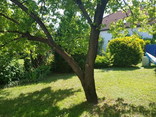 Hostal Meszaros Apartman