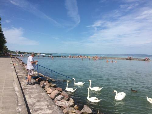 Els? Fecske Apartmanok