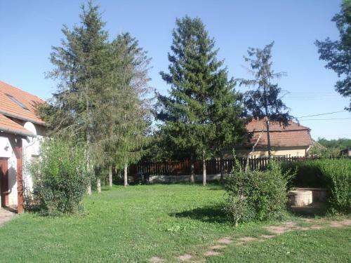 Hostal Bal�zs Vend�gh�z