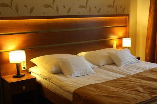 Aranyb�nya Hotel