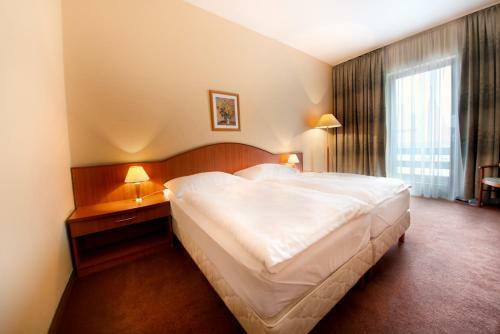 Hotel Krist�ly Imperial