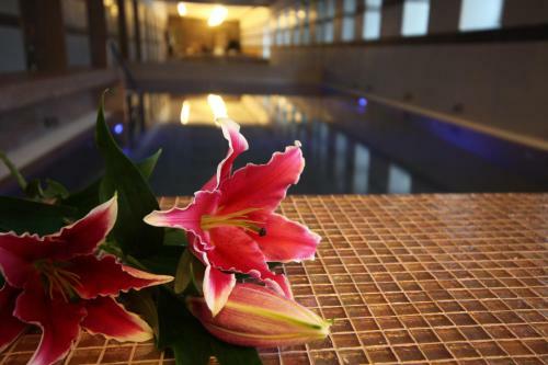 Hotel Krist�ly Imperial