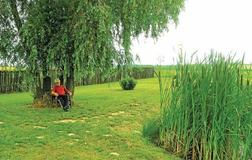 Holiday Home J�kai Utca-szentkozmadombja