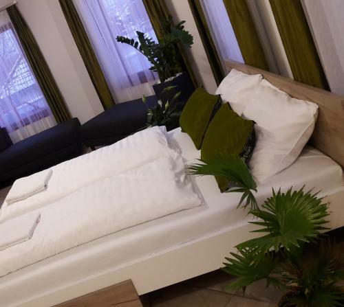 Hostal Rp Fitlife St�di� �s Vend�gh�z