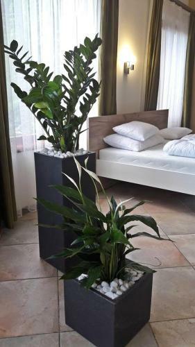 Hostal Rp Fitlife St�di� �s Vend�gh�z