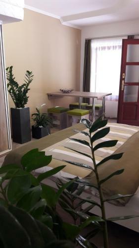 Hostal Rp Fitlife St�di� �s Vend�gh�z