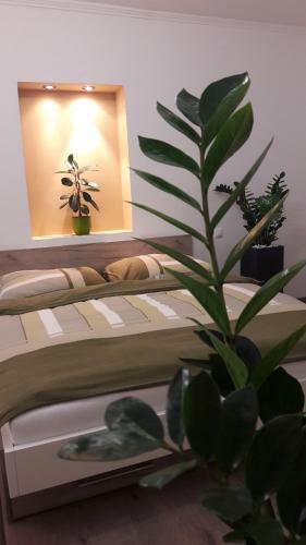 Hostal Rp Fitlife St�di� �s Vend�gh�z