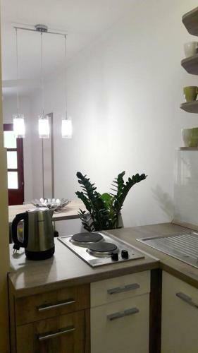 Hostal Rp Fitlife St�di� �s Vend�gh�z