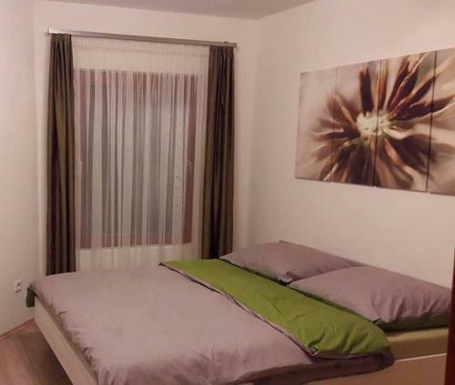Hostal Rp Fitlife St�di� �s Vend�gh�z