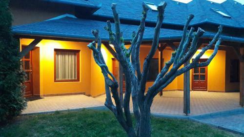 Hostal Rp Fitlife St�di� �s Vend�gh�z