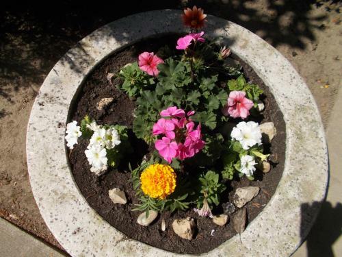 Bed & Breakfast �jjelibagoly Panzi�