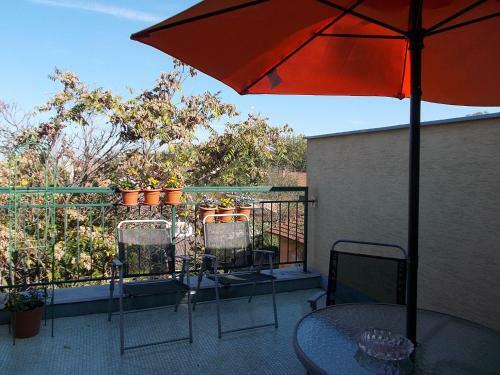 Bed & Breakfast �jjelibagoly Panzi�