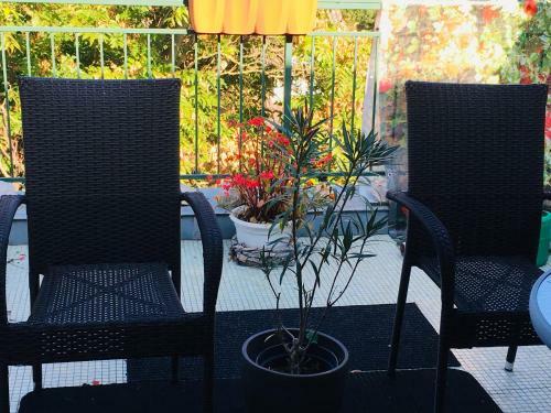 Bed & Breakfast �jjelibagoly Panzi�