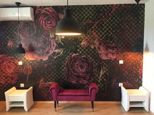 Bed & Breakfast �jjelibagoly Panzi�