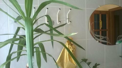 Bed & Breakfast �jjelibagoly Panzi�