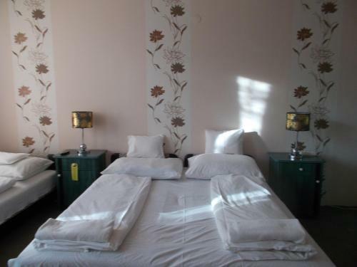 Bed & Breakfast �jjelibagoly Panzi�