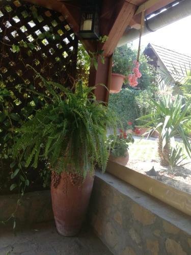 St�lus Apartman
