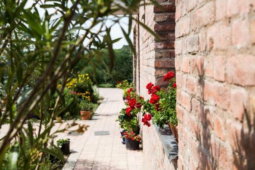 Hostal �regt�lgy Guest House