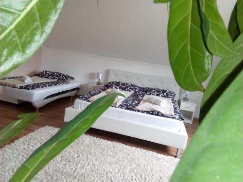 Villa Luxus Tanya