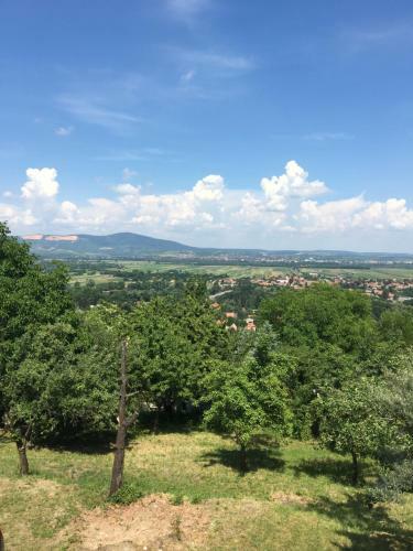 Hostal Panor�ma Vend�gh�z