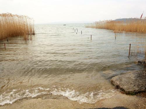 Apartment In Szantod/balaton 34169
