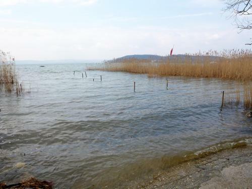 Apartment In Szantod/balaton 34169