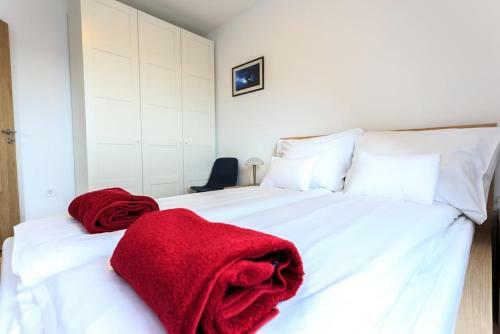New Apartments Szeged