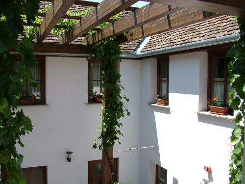 Hostal Blum Pince - Boroz� Vend�gh�z