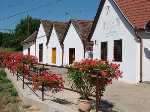 Hostal Blum Pince - Boroz� Vend�gh�z
