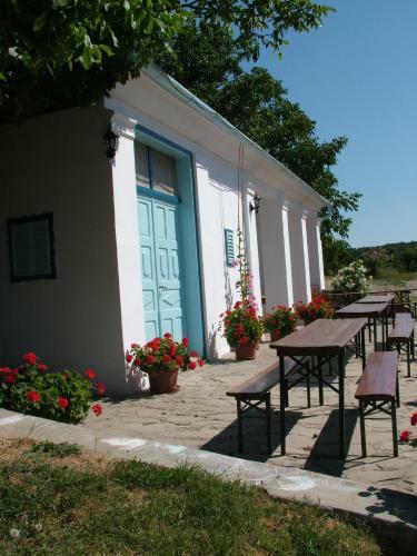 Hostal Blum Pince - Boroz� Vend�gh�z