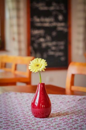 Bed & Breakfast Di�fa Panzi�