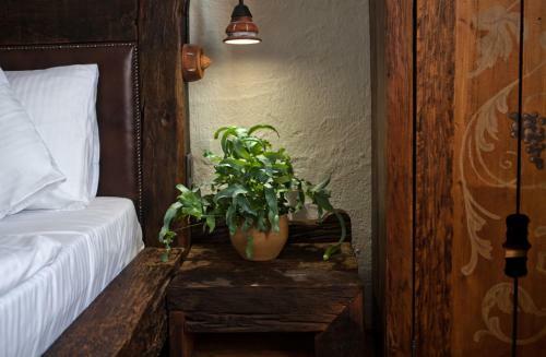 Bed & Breakfast Halasi Pince Panzi�