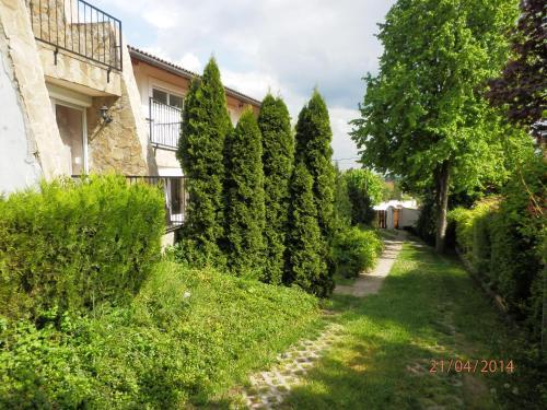 Hostal Mediterr�n Vend�gh�z