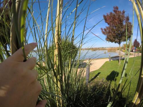 Lake And Spa Apartman