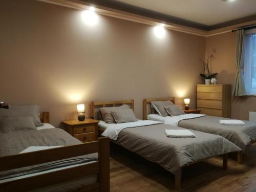 Korz� Apartman Velence