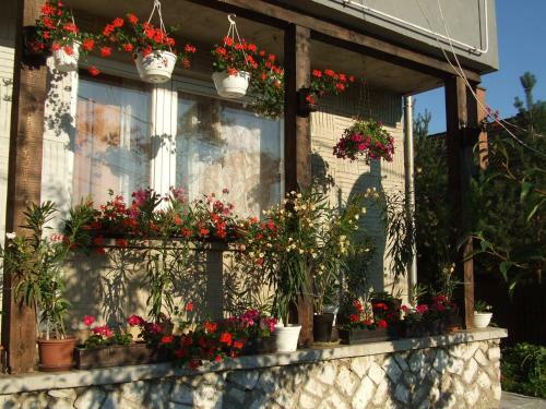 Apartamento Katalin Vend�gh�z