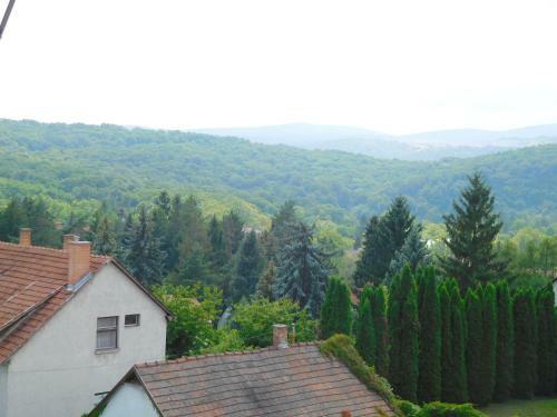 Apartamento Katalin Vend�gh�z